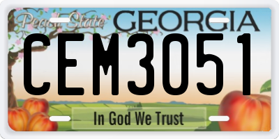 GA license plate CEM3051