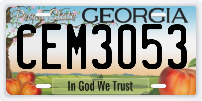 GA license plate CEM3053