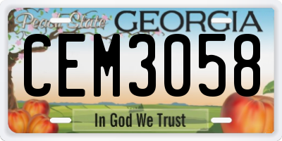 GA license plate CEM3058