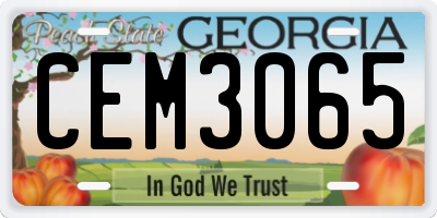 GA license plate CEM3065