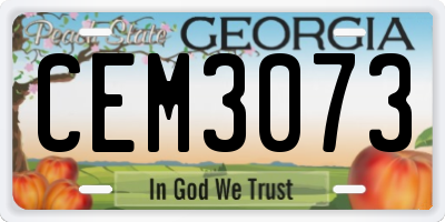 GA license plate CEM3073