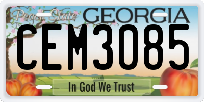GA license plate CEM3085