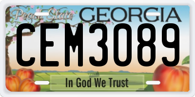 GA license plate CEM3089