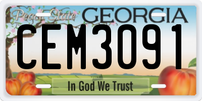 GA license plate CEM3091