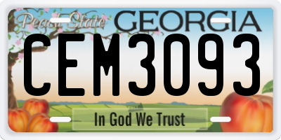 GA license plate CEM3093