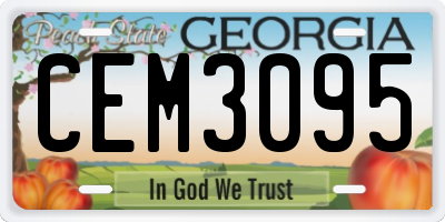 GA license plate CEM3095