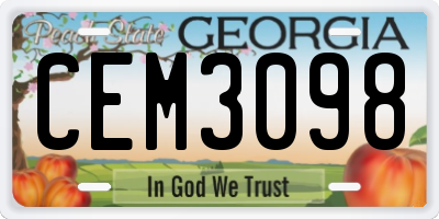GA license plate CEM3098