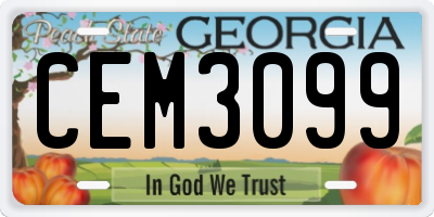 GA license plate CEM3099