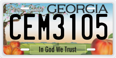 GA license plate CEM3105