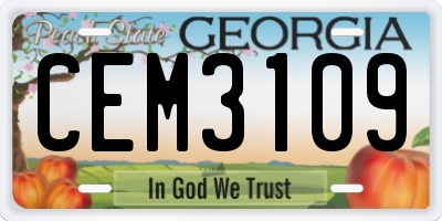 GA license plate CEM3109