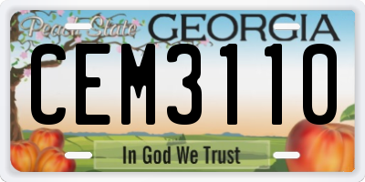 GA license plate CEM3110