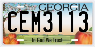 GA license plate CEM3113