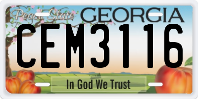 GA license plate CEM3116