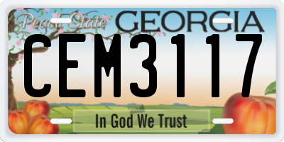 GA license plate CEM3117