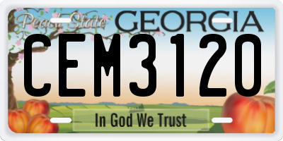 GA license plate CEM3120