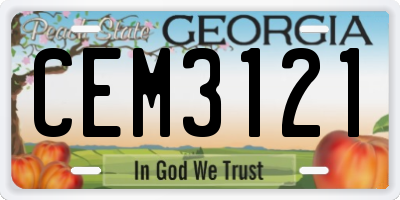 GA license plate CEM3121