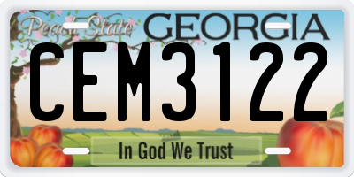 GA license plate CEM3122