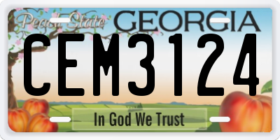 GA license plate CEM3124