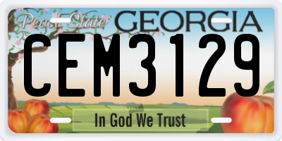 GA license plate CEM3129