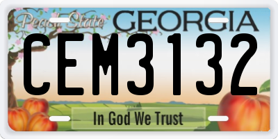 GA license plate CEM3132