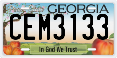 GA license plate CEM3133