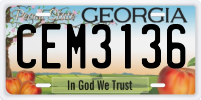 GA license plate CEM3136