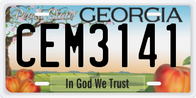 GA license plate CEM3141