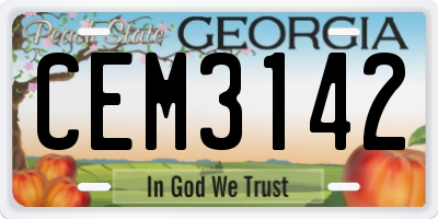 GA license plate CEM3142