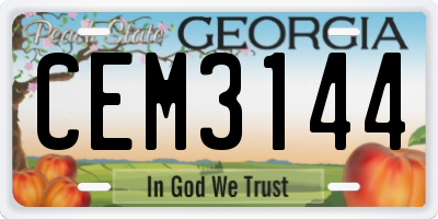 GA license plate CEM3144