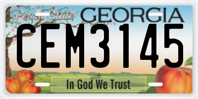 GA license plate CEM3145