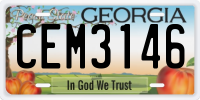 GA license plate CEM3146