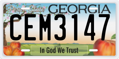 GA license plate CEM3147