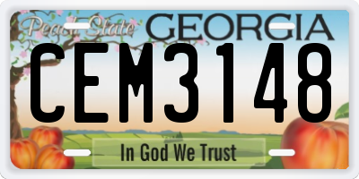 GA license plate CEM3148
