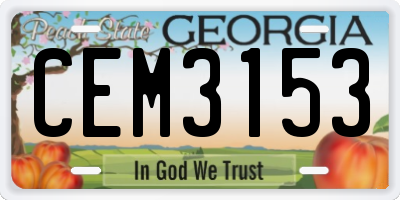 GA license plate CEM3153