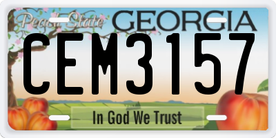 GA license plate CEM3157