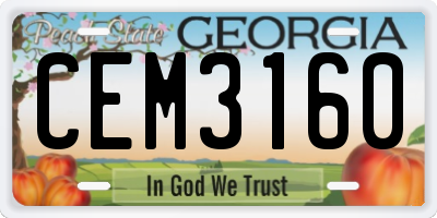 GA license plate CEM3160
