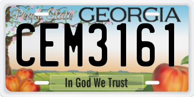 GA license plate CEM3161