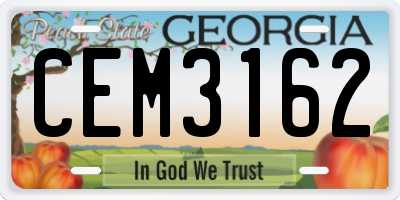GA license plate CEM3162