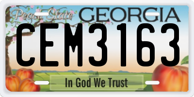 GA license plate CEM3163