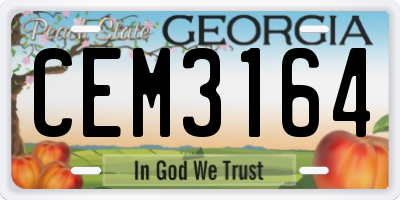 GA license plate CEM3164