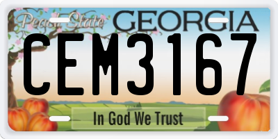 GA license plate CEM3167
