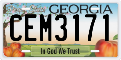 GA license plate CEM3171