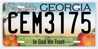 GA license plate CEM3175