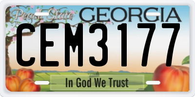 GA license plate CEM3177