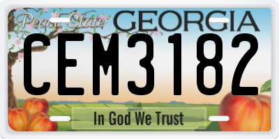 GA license plate CEM3182