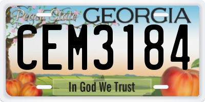 GA license plate CEM3184