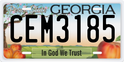 GA license plate CEM3185