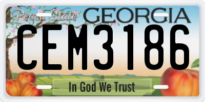 GA license plate CEM3186