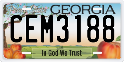 GA license plate CEM3188