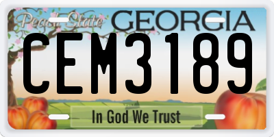 GA license plate CEM3189